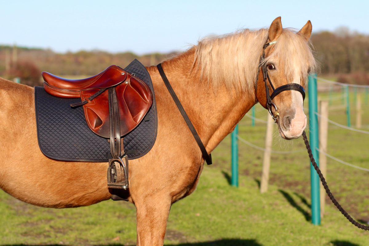 Neckstrap