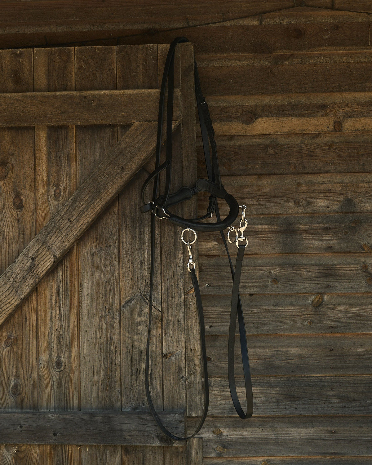 In-hand schooling reins