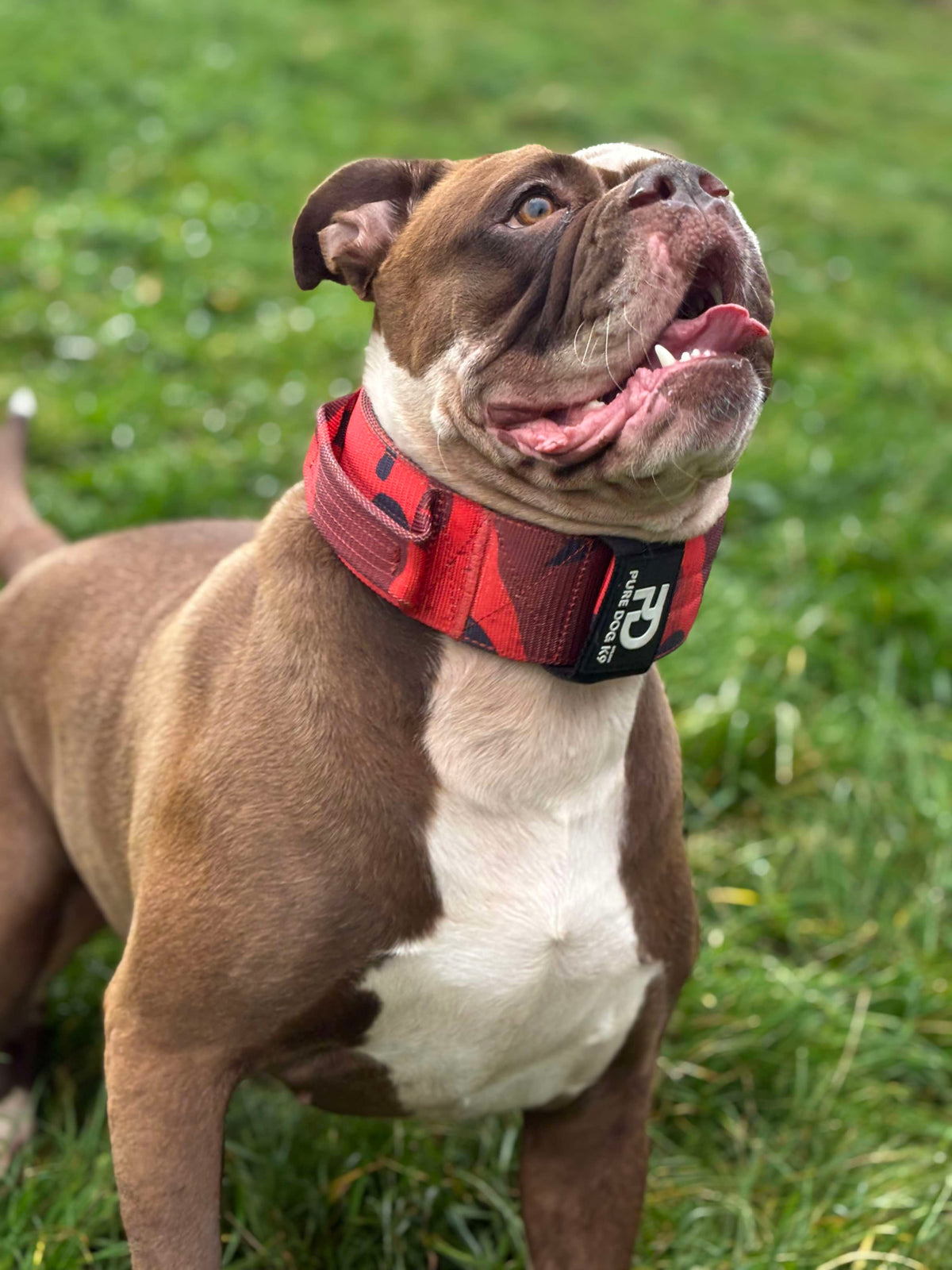 7cm Sport Collar Red Camo