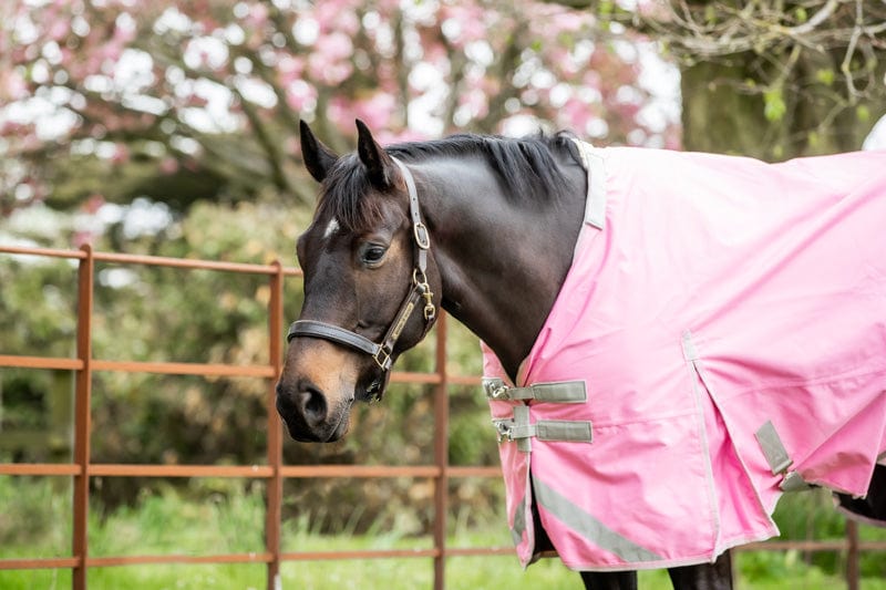 0g Detachable Neck Turnout Rug - Baby Pink