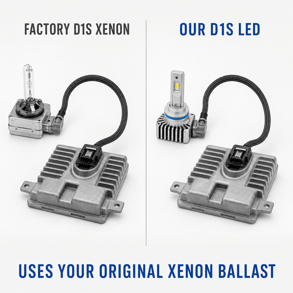 D1S LED Bulbs (Pair)