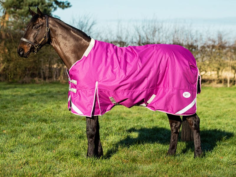 50g Detachable Neck Turnout Rug - Mulberry