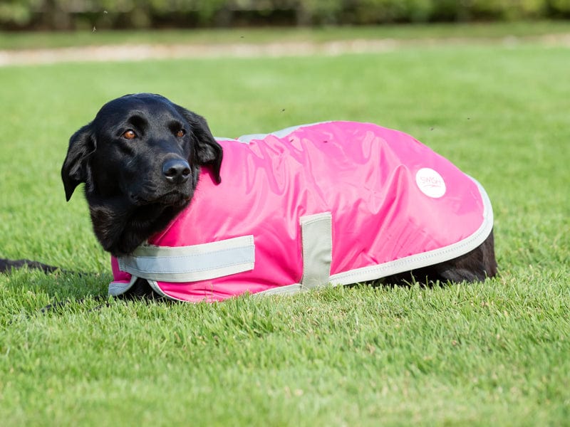 Waterproof Dog Coat - Raspberry