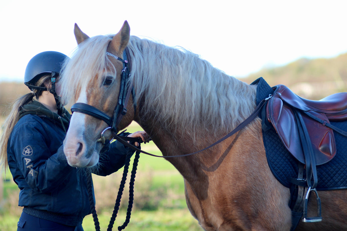 Grass Reins