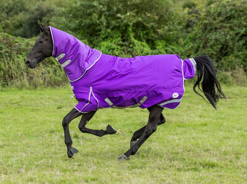 360g Turnout Rug With Detachable Neck - Purple
