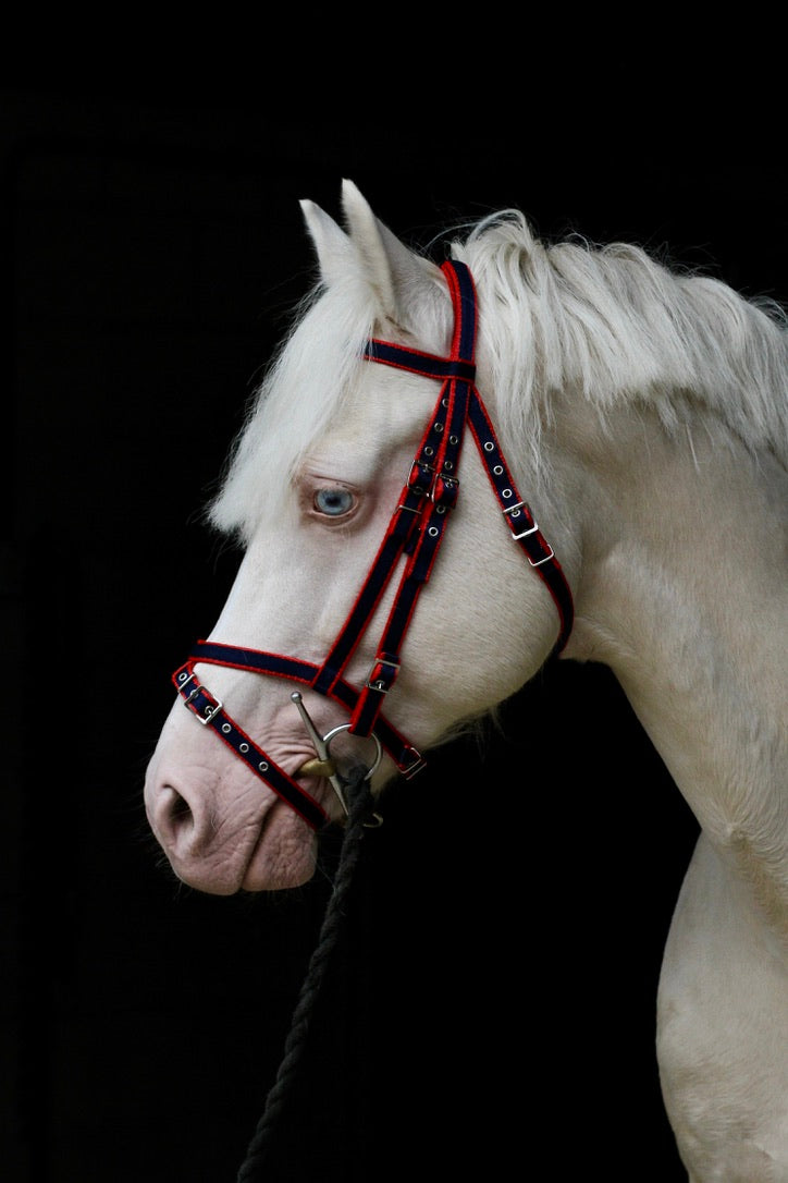Standard Bridle - Cavesson Noseband