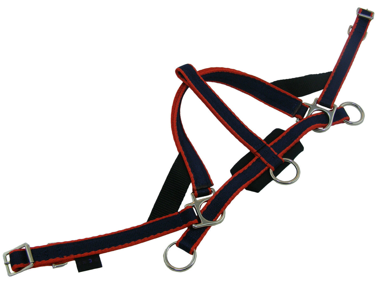 Libby's Scawbrig Noseband
