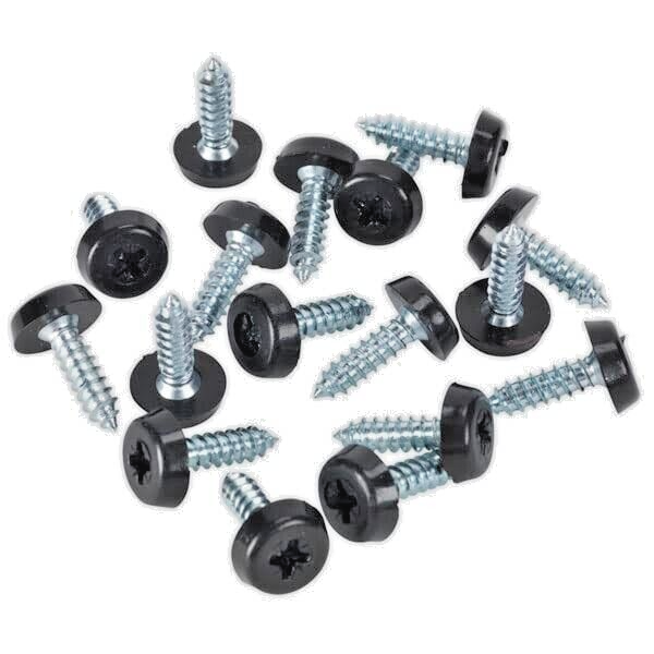 Number Plate Fixing Kit  Screws  - Plastic Cap Moulded Head Screws x4