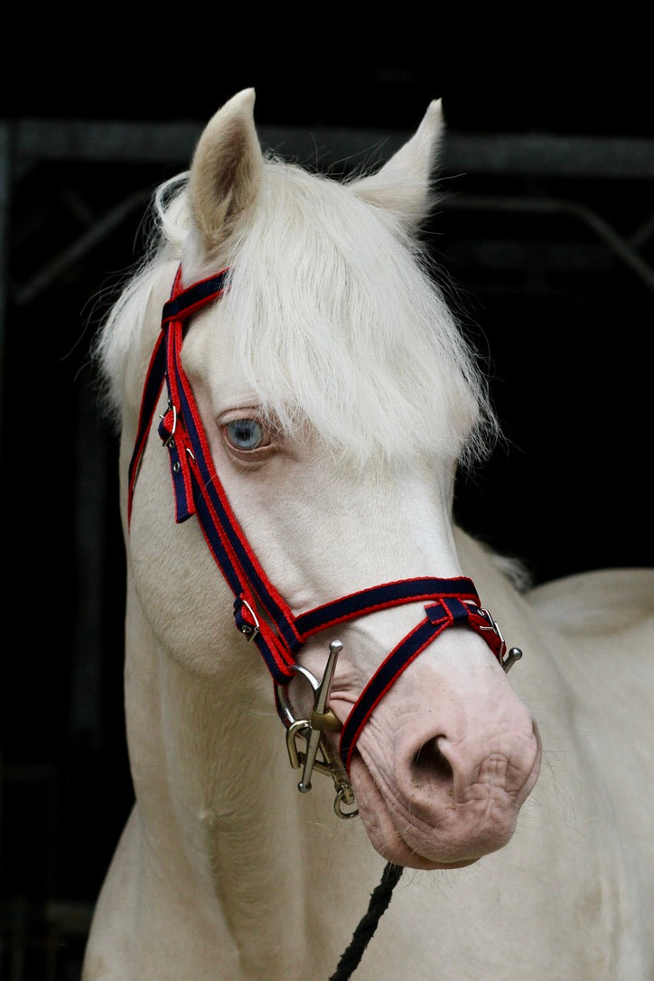 Standard Bridle - Cavesson Noseband