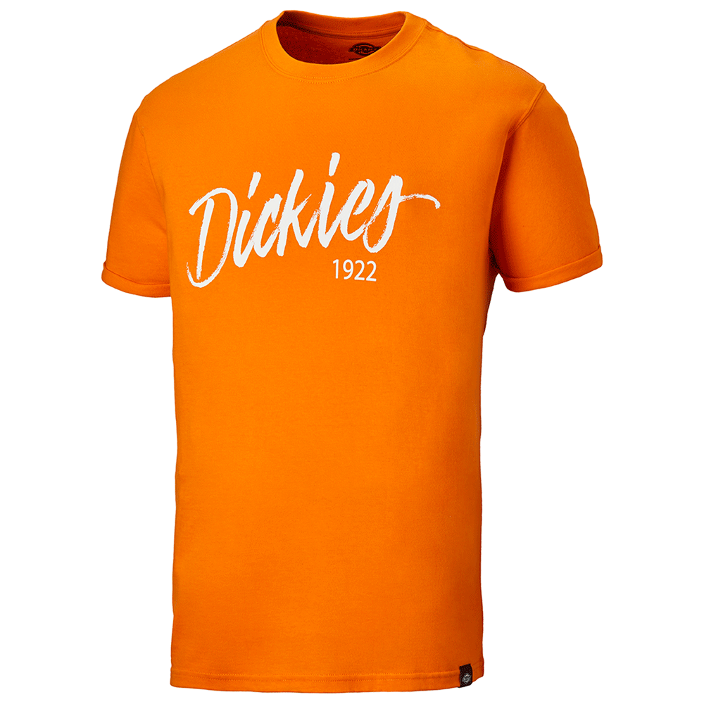 Dickies DT6012 22 Hanston Graphic T-Shirt Various Colours