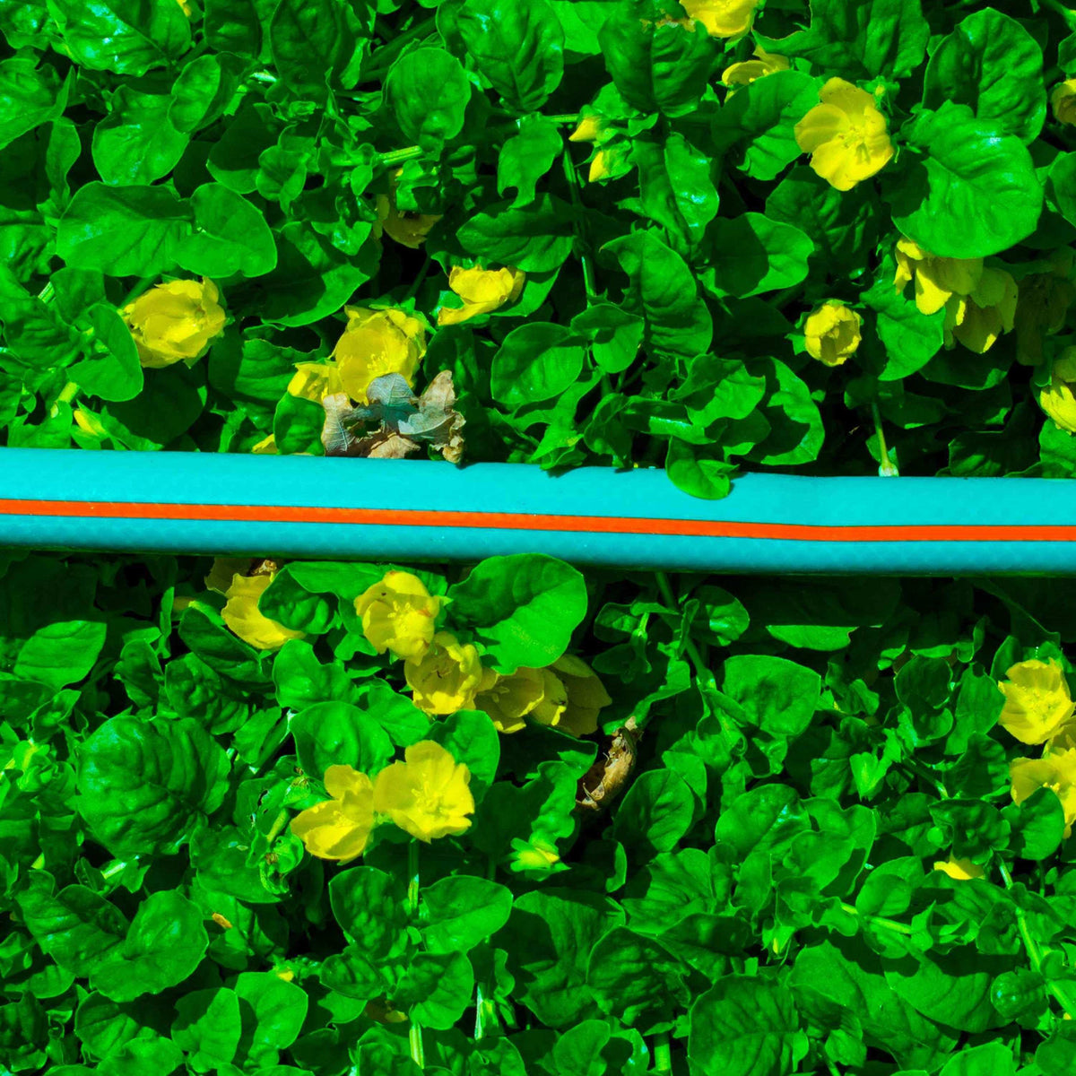 1/2" Green Economy Garden Hose Pipe, 4-Layers