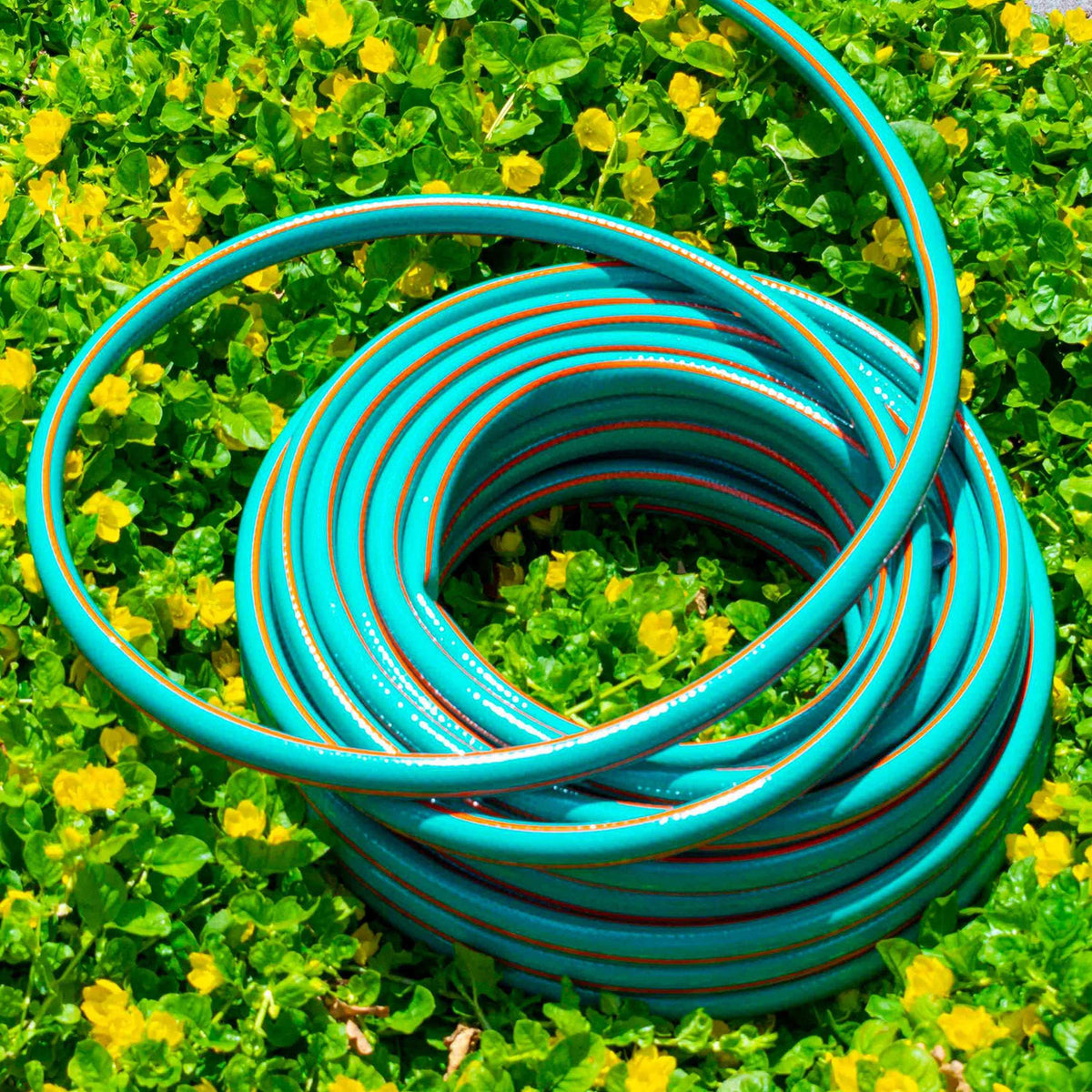 1/2" Green Economy Garden Hose Pipe, 4-Layers