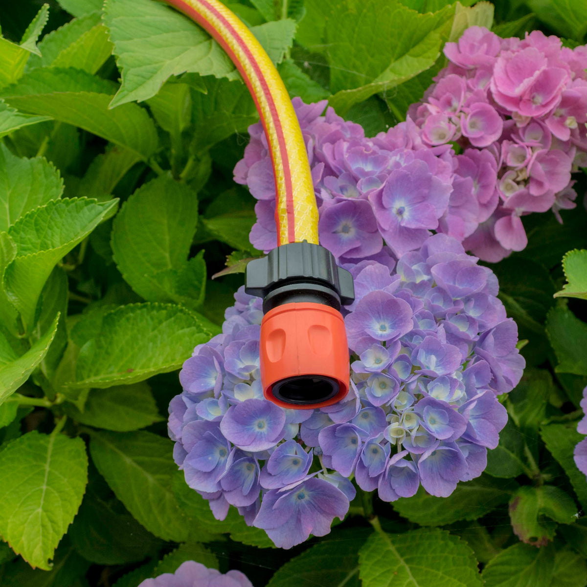 Irrigation 1/2" Barb to Female Hosepipe Quick Connector, Black