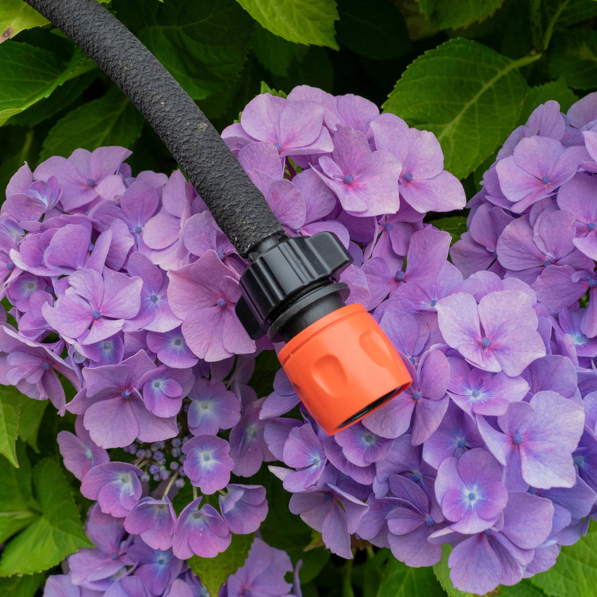 Irrigation 1/2" Barb to Female Hosepipe Quick Connector, Black