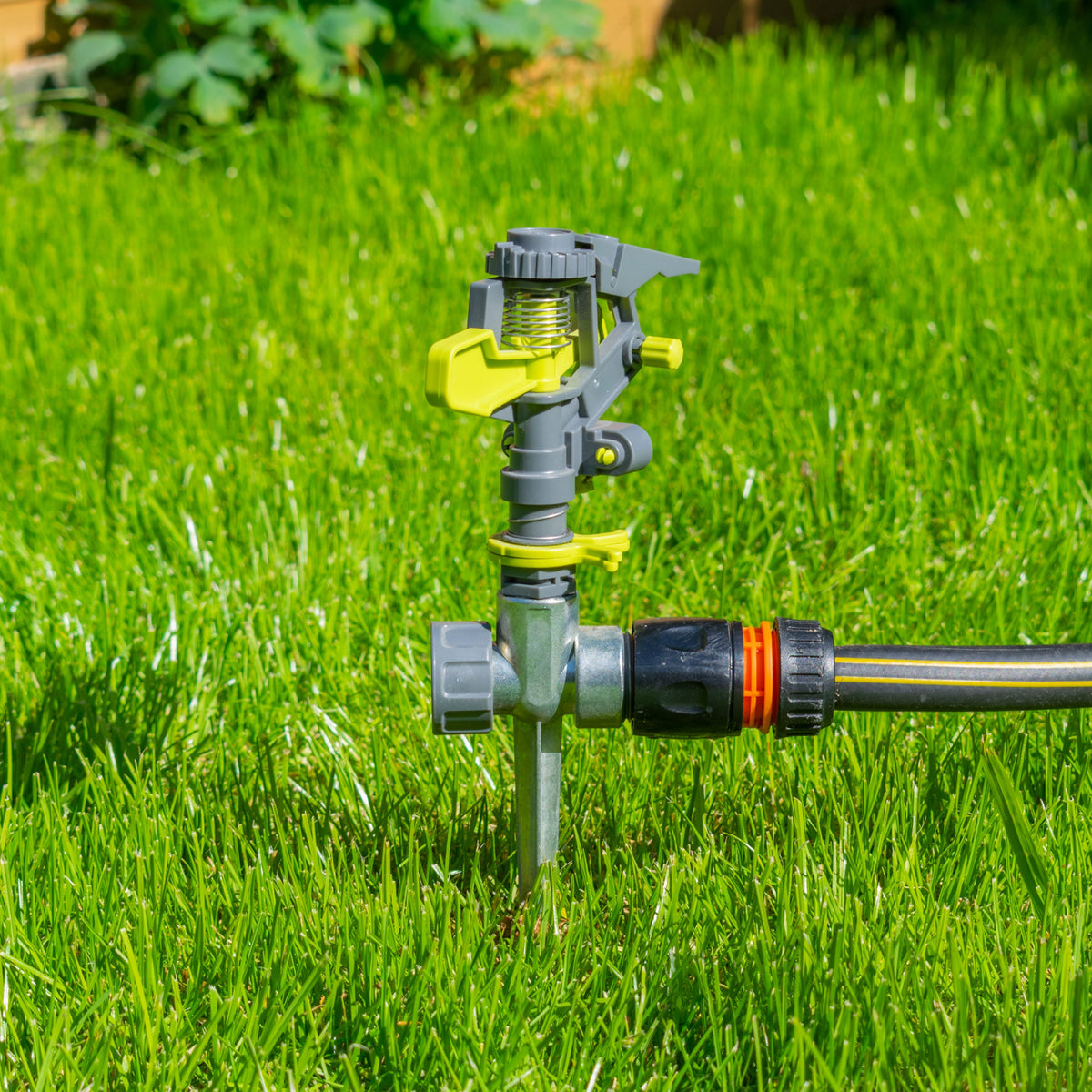 Pulsating Sprinkler on Spike Lime