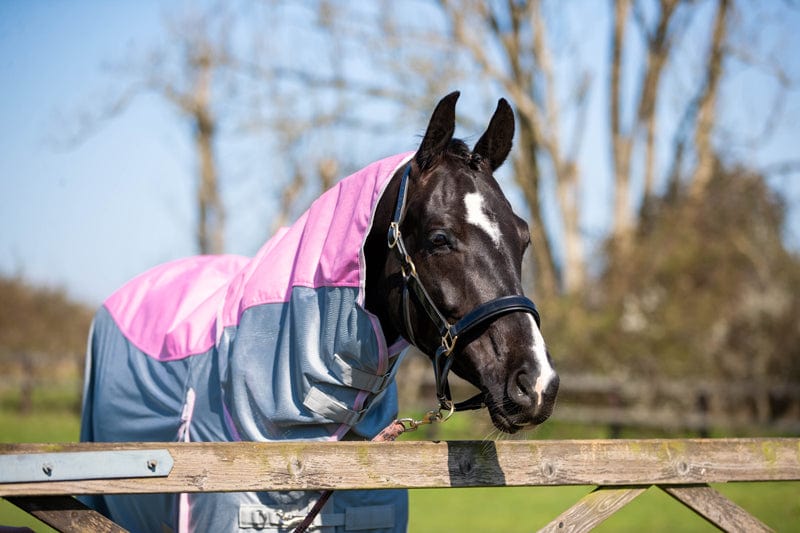 Fly Turnout Combination Rug (MESH) - Baby Pink