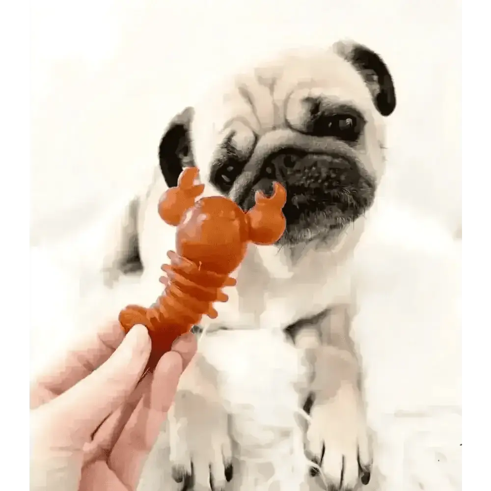 Carrot & Pumpkin Lobster Chew For Dogs