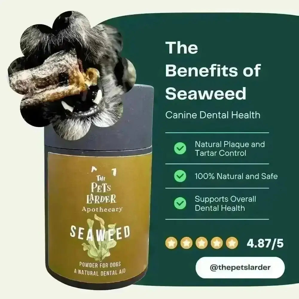 Dental Seaweed Powder for Dogs & Cats: Plaque Removal