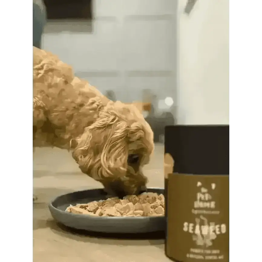 Dental Seaweed Powder for Dogs & Cats: Plaque Removal