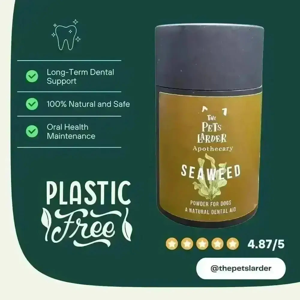 Dental Seaweed Powder for Dogs & Cats: Plaque Removal