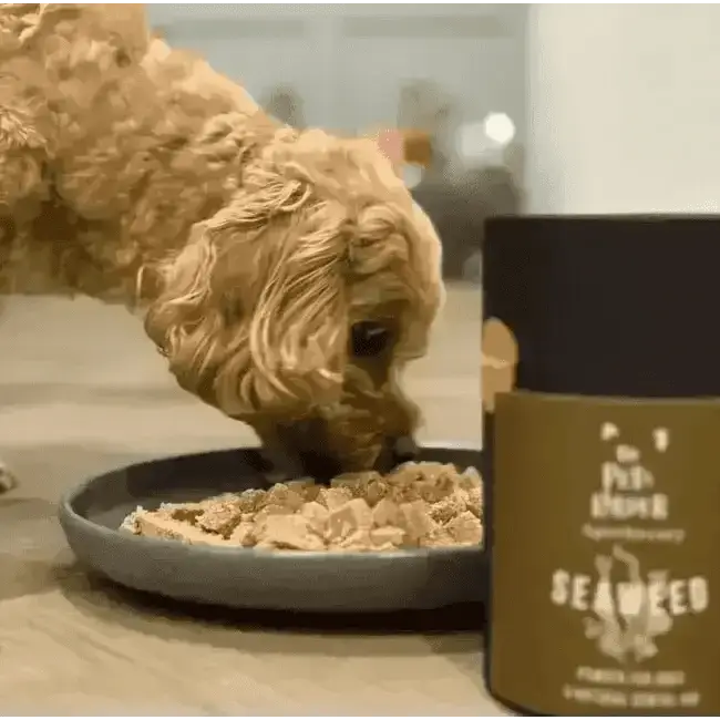 Dental Seaweed Powder for Dogs & Cats: Plaque Removal