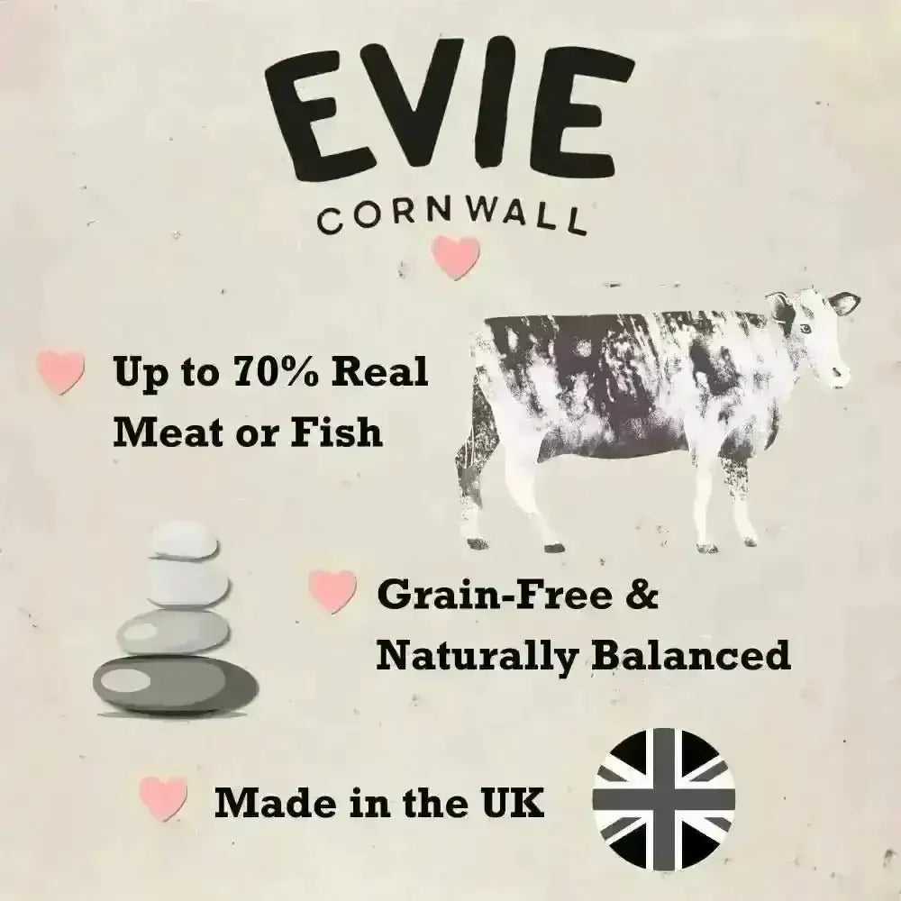 Evie Natural Dry Kitten Food Turkey With Chicken