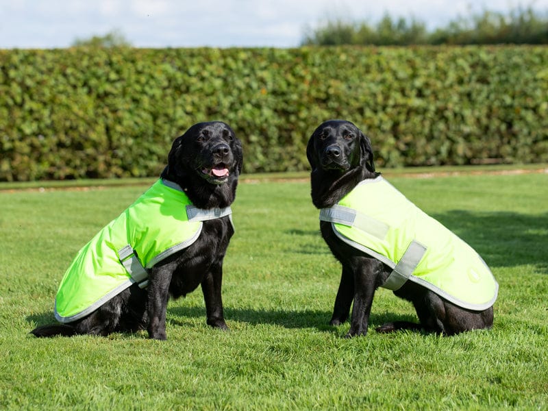 Waterproof Dog Coat - High Viz Yellow