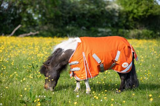 MINI 0g Turnout Rug - Orange