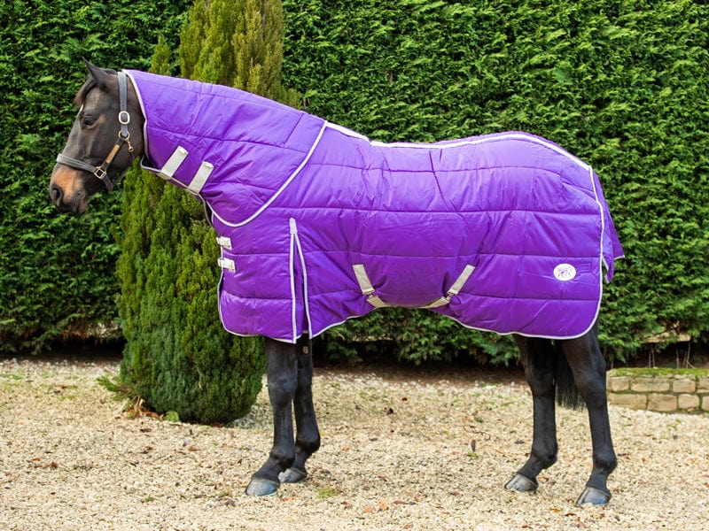 200g Stable Rug With Detachable Neck - Purple