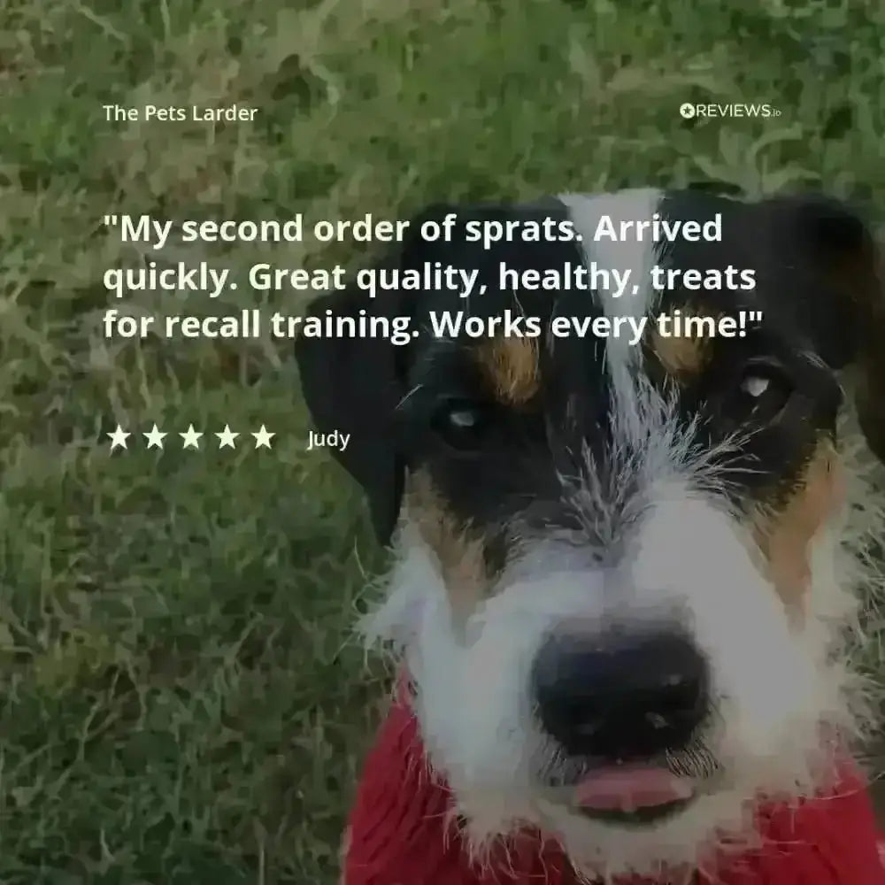 Rabbit Ear without Fur Natural Meat Chew For Dogs