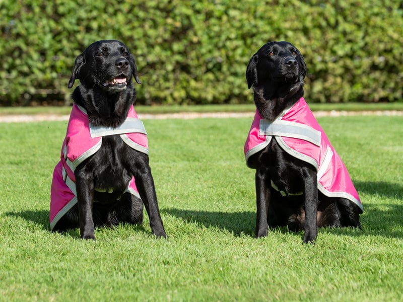 Waterproof Dog Coat - Raspberry