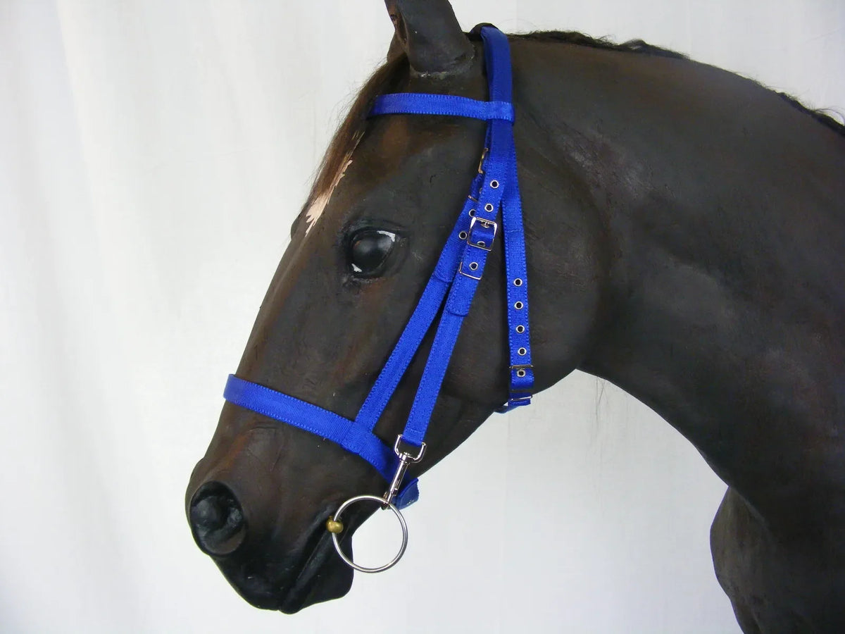 Schooling Bridle