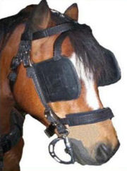 Ultimate Driving Bridle