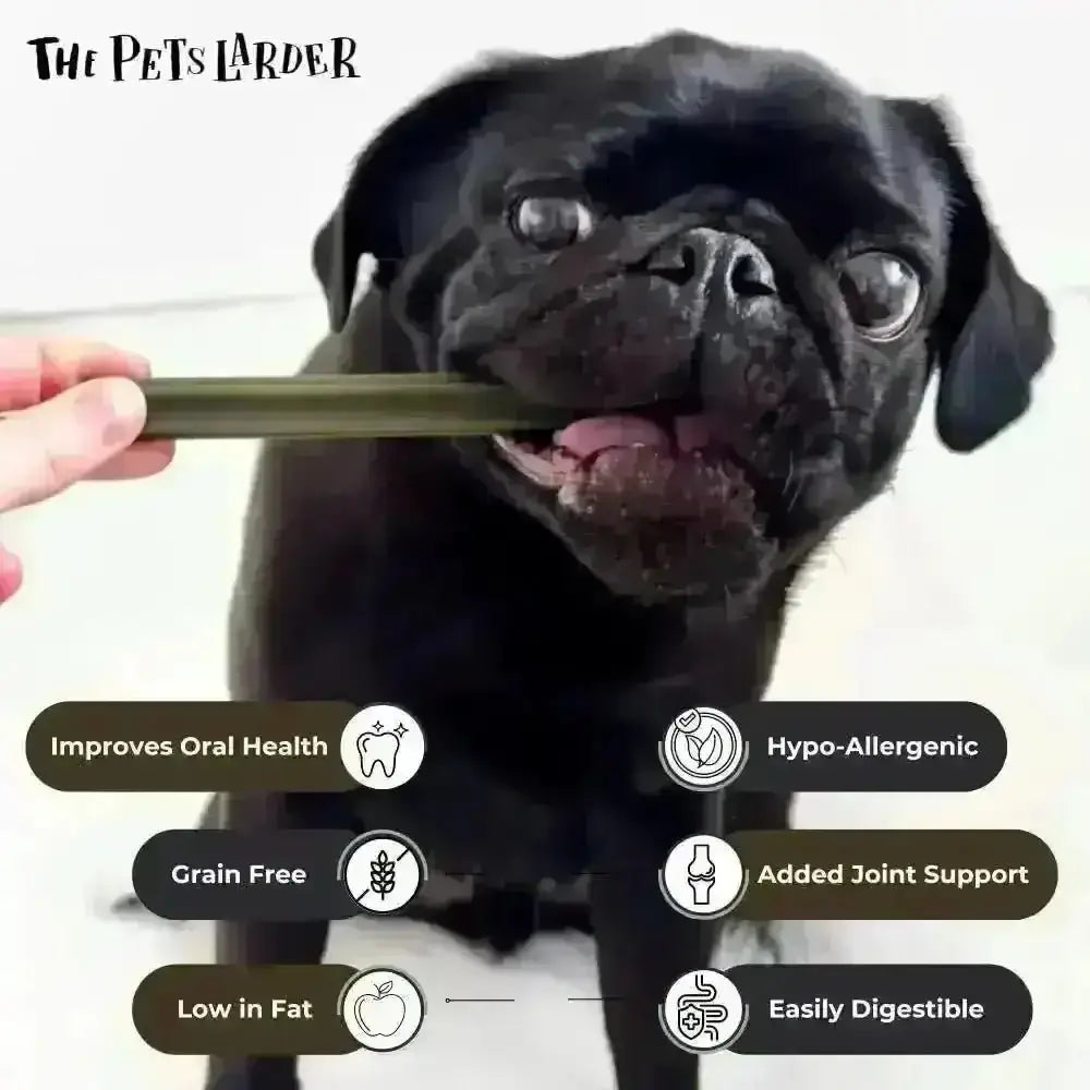Spinach & Cranberry Chew Stick Vegetable Chew For Dogs