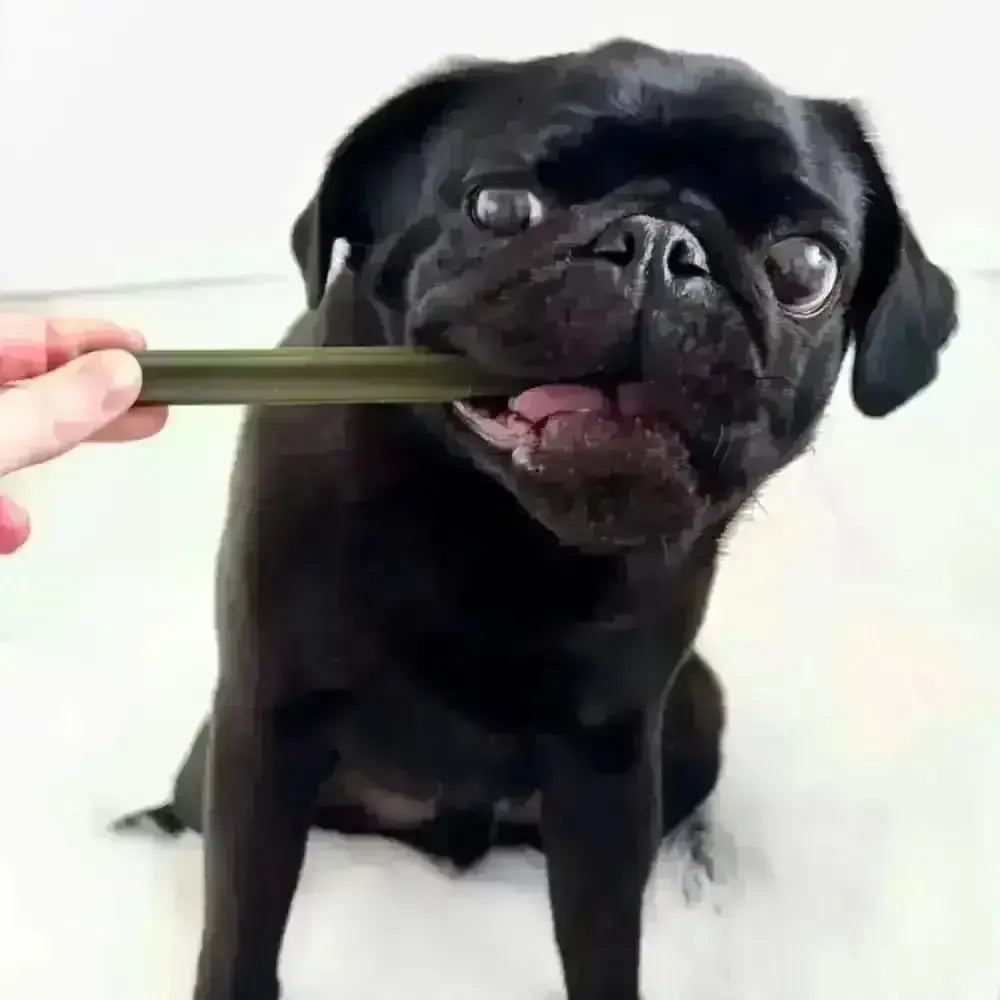 Spinach & Cranberry Chew Stick Vegetable Chew For Dogs