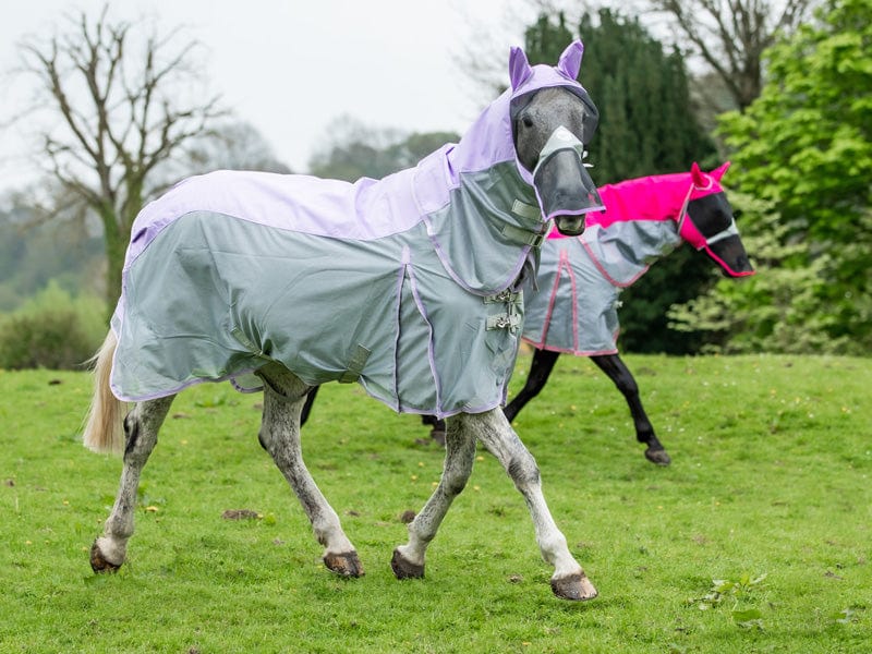 Fly Turnout Combination Rug (NYLON) - Violet