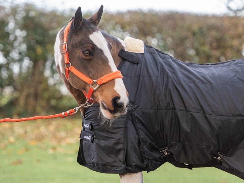 WIDE FIT 100g Horse Rug Liner